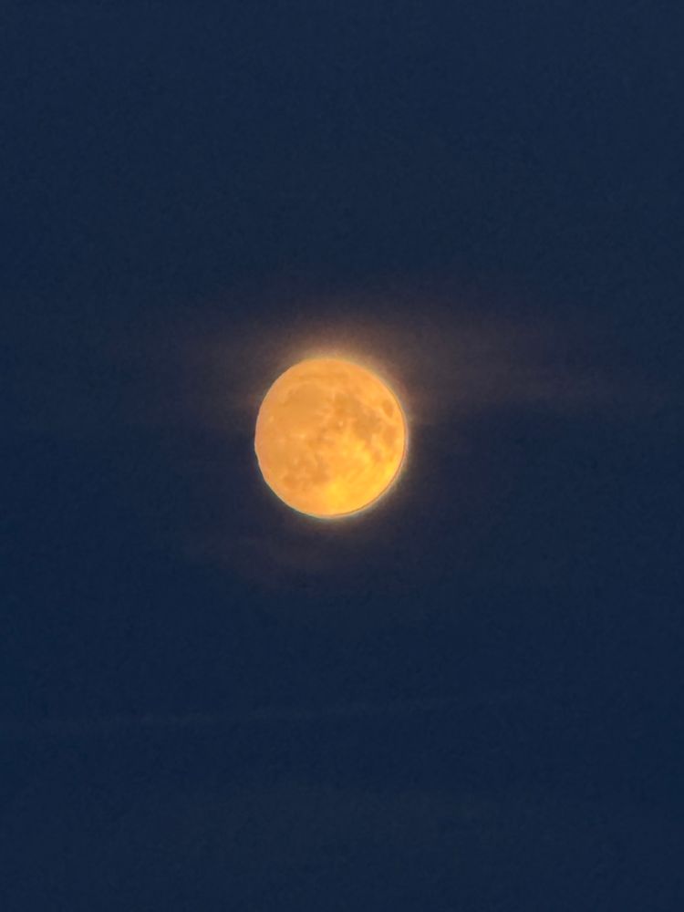 a zoomed in photo of the moon 