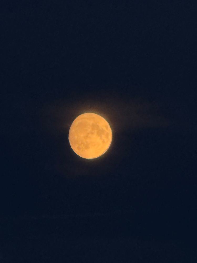 a zoomed in photo of the moon 