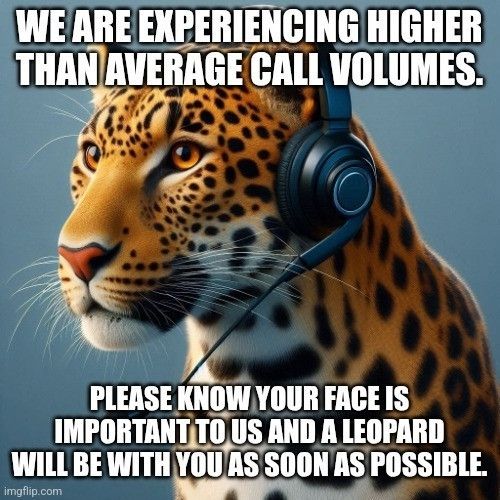 A leopard wearing a headset answers calls by people who are on hold waiting for their face to be eaten by leopards. 