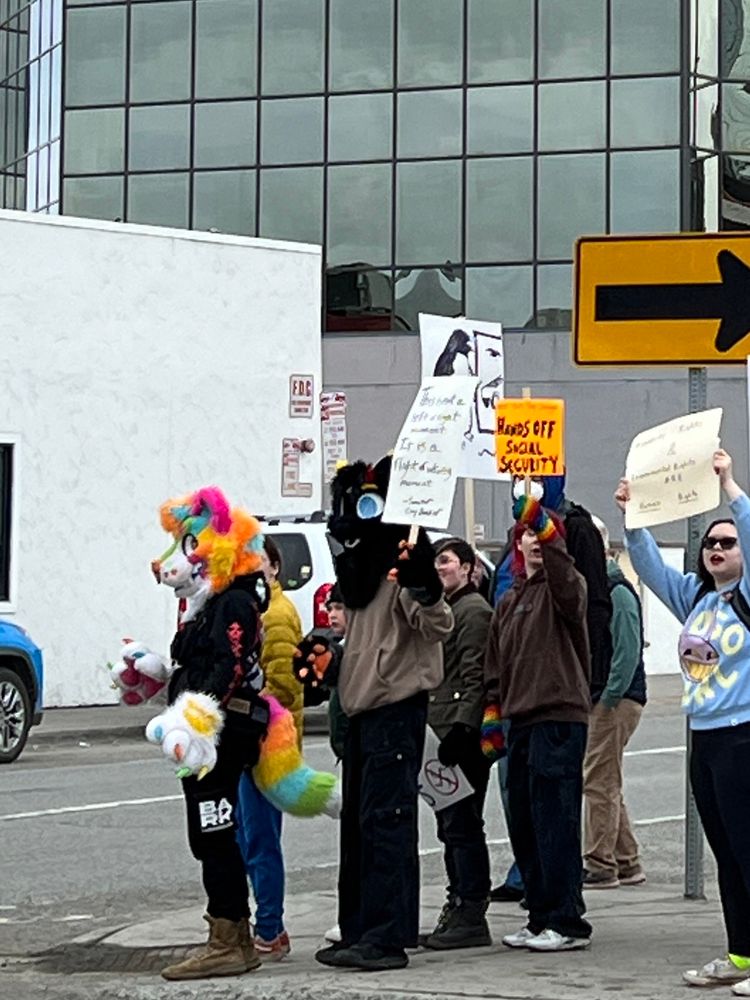 Two furries protesting DOGE/Trump in Anchorage, Alaska at the #HandsOff protest 