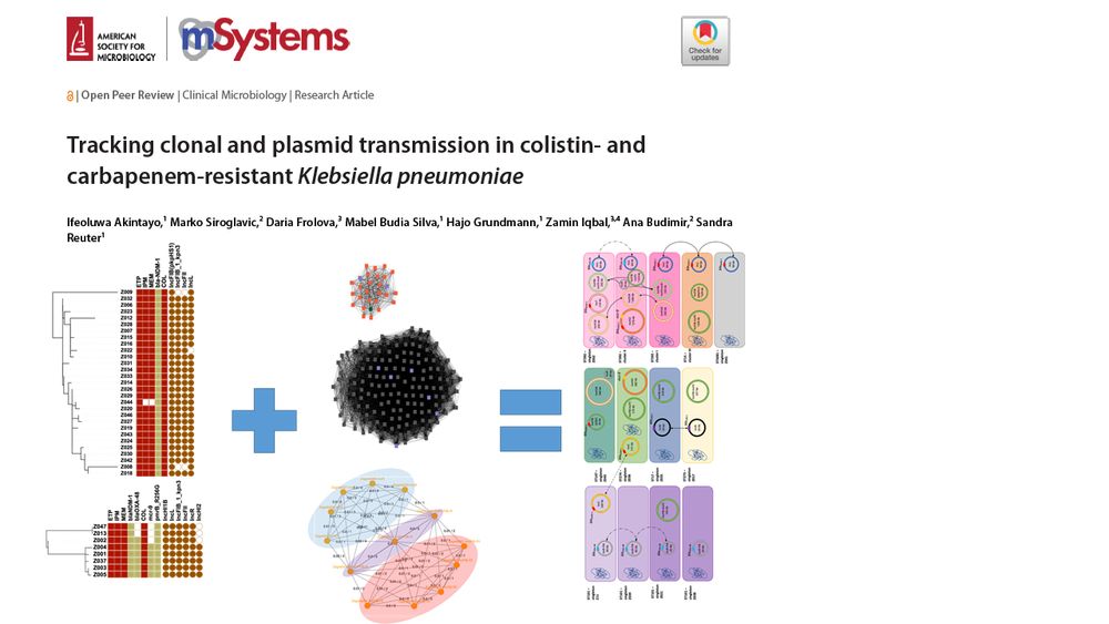 Composite of the paper header showing all authors and an equation showing phylogenetic trees plus plasmids give a complex plasmid picture.