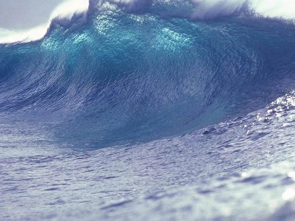 A very large wave consumes most of the frame from right to left