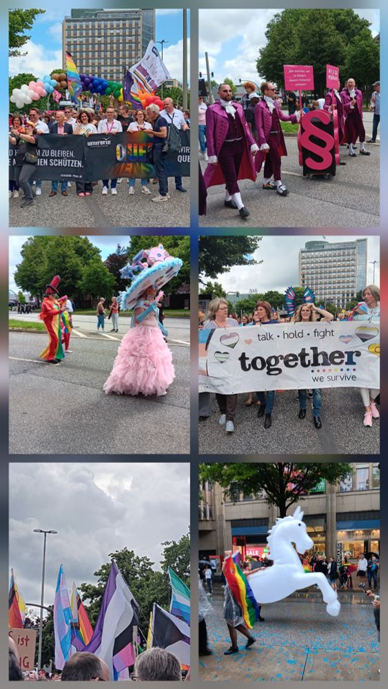 Collage von bunten CSD-Fotos.