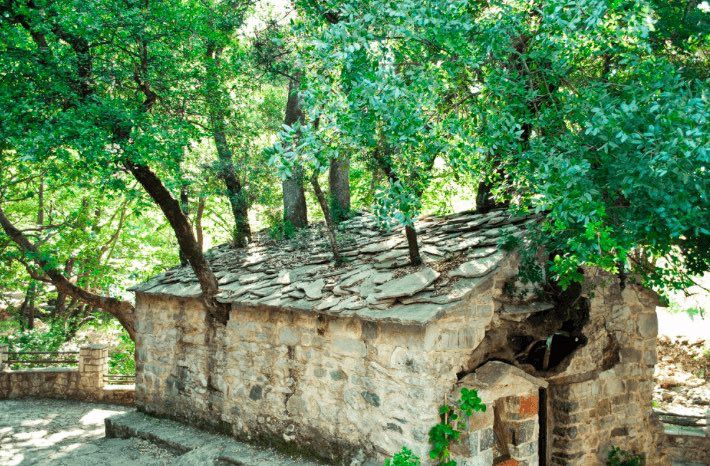 Saint Theodora - Vasta, Greece: the church with the trees on the roof

There are 17 oak trees growing on the roof and walls, but no roots have penetrated inside this 800 year old church