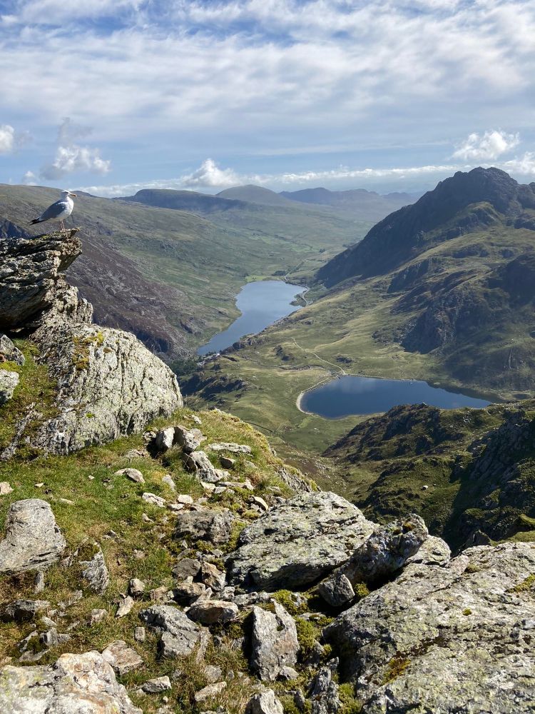 Tryfan from Y Garn
