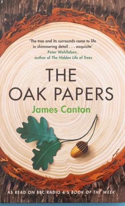 The front cover of the book The Oak Papers by James Canton. It shows two oak leaves and an acorn 