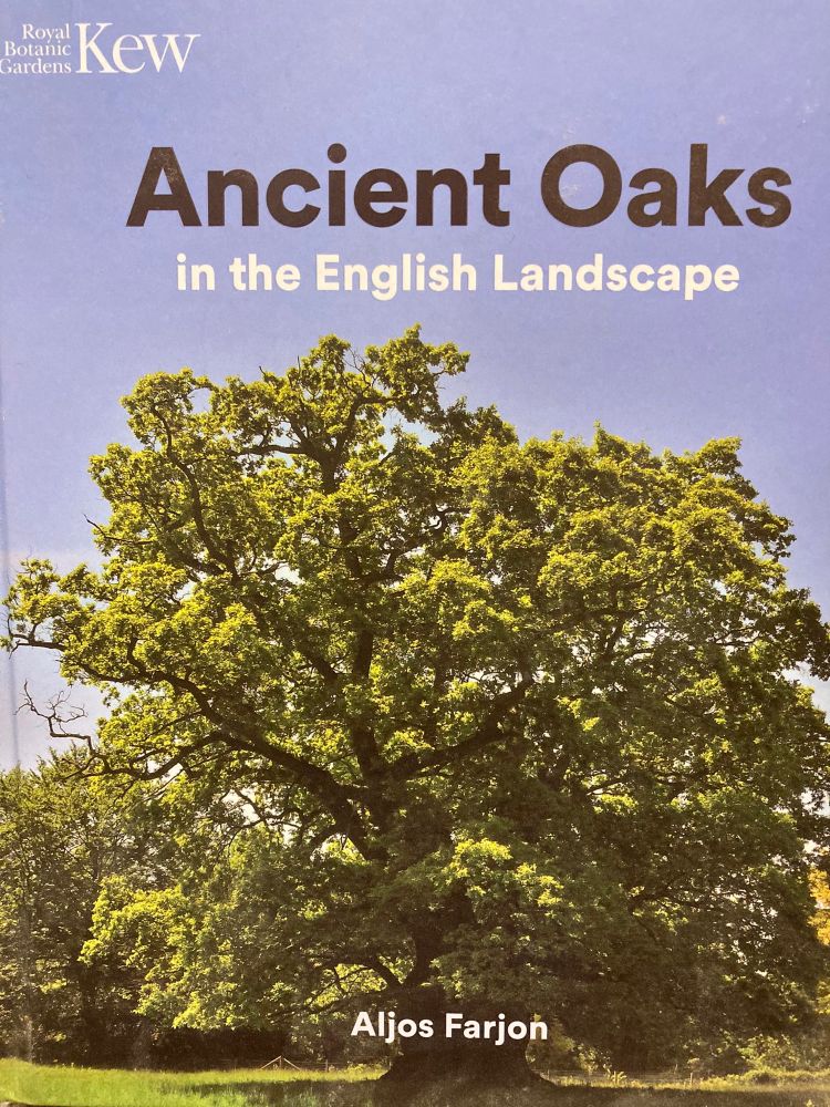 The front cover of the book showing the same tree. The Great Oak, Kingswalden Park, Hertfordshire