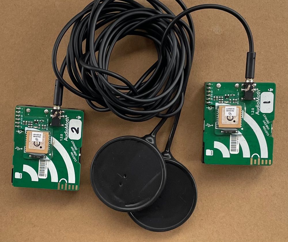 Photo showing two AudioMoth devices equipped with GPS Hats and piezo soil sensors.