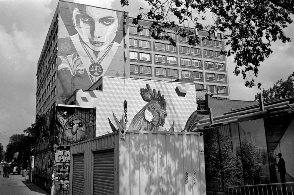 A mural of a woman gazing sternly on a building in Montréal overlooks a mural of a cartoon face and a chicken, all looking in the same direction.