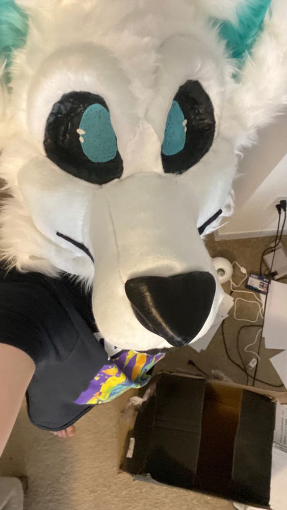 Standin' around with just the head on