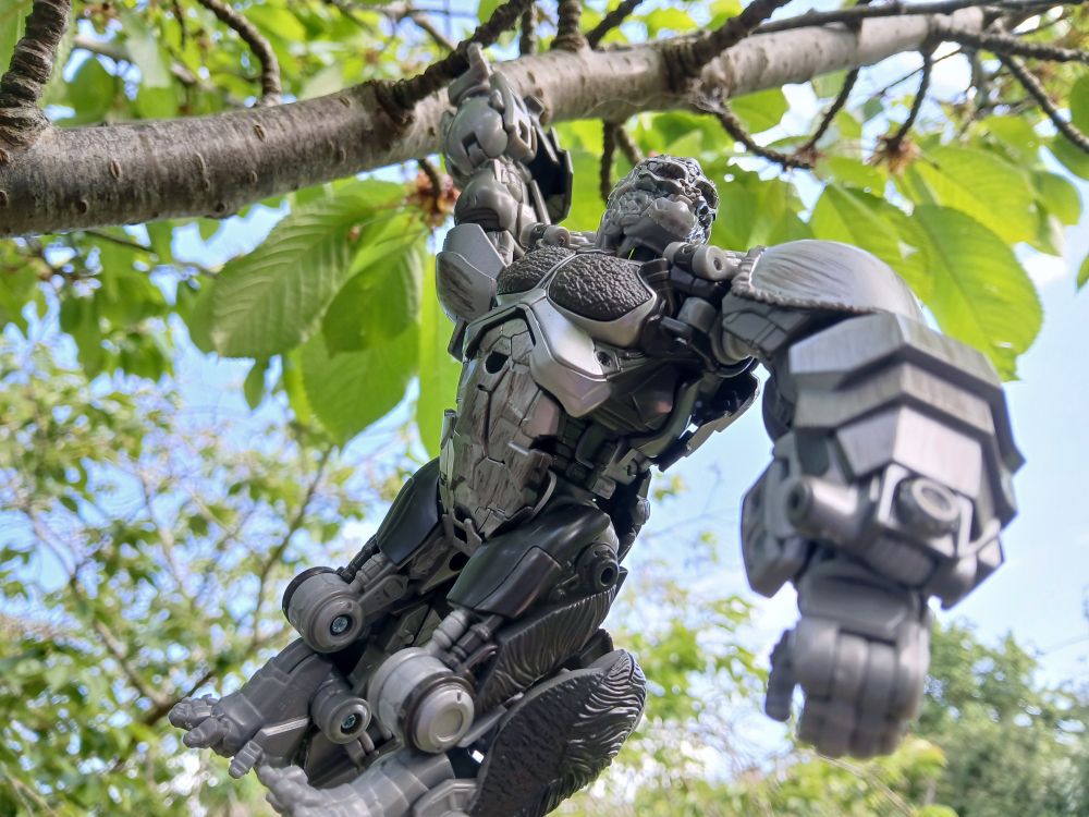 Transformers Studio Series Apelinq hanging in a cherry tree 