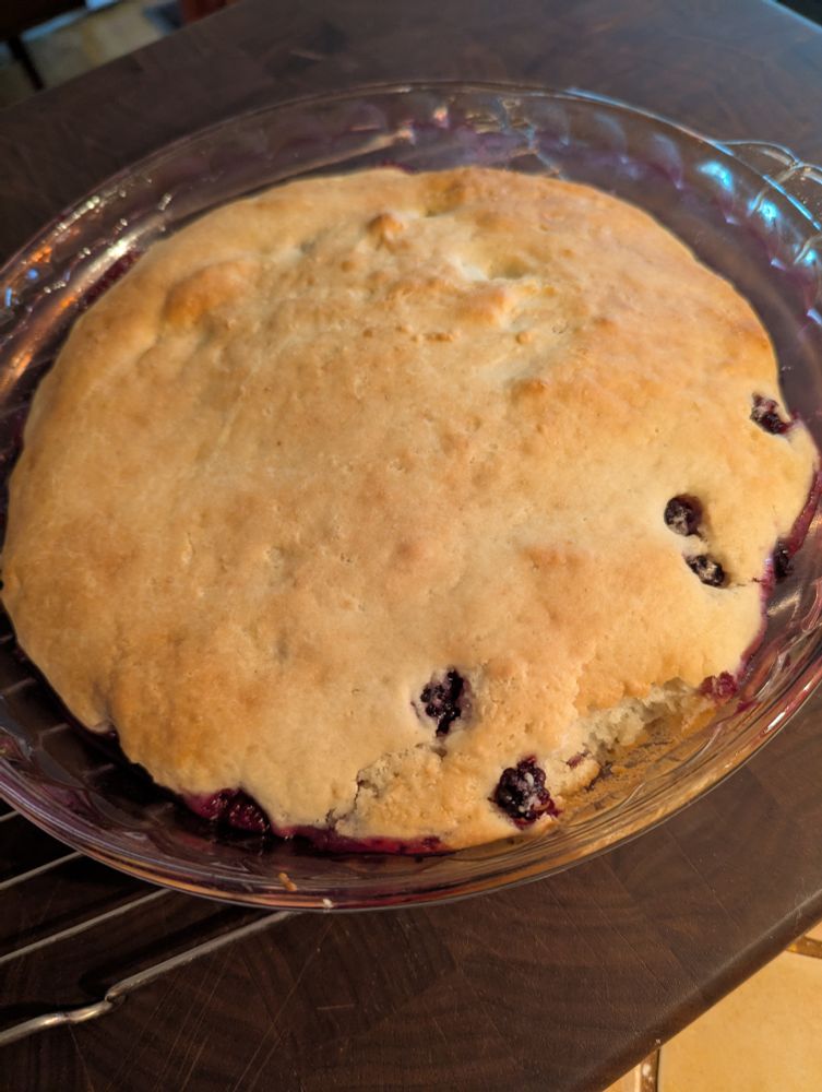 A plate of blackberry slump cooling on a rack