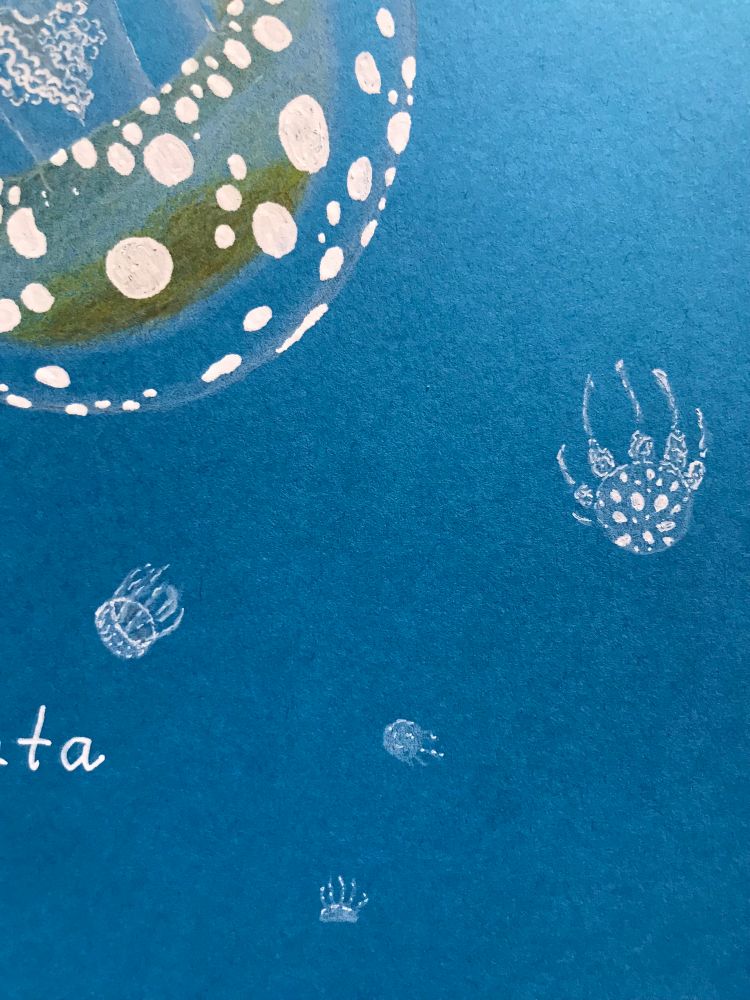 close up photo of the above white spotted jellyfish illustration, focused on the smaller jellyfish in the background 