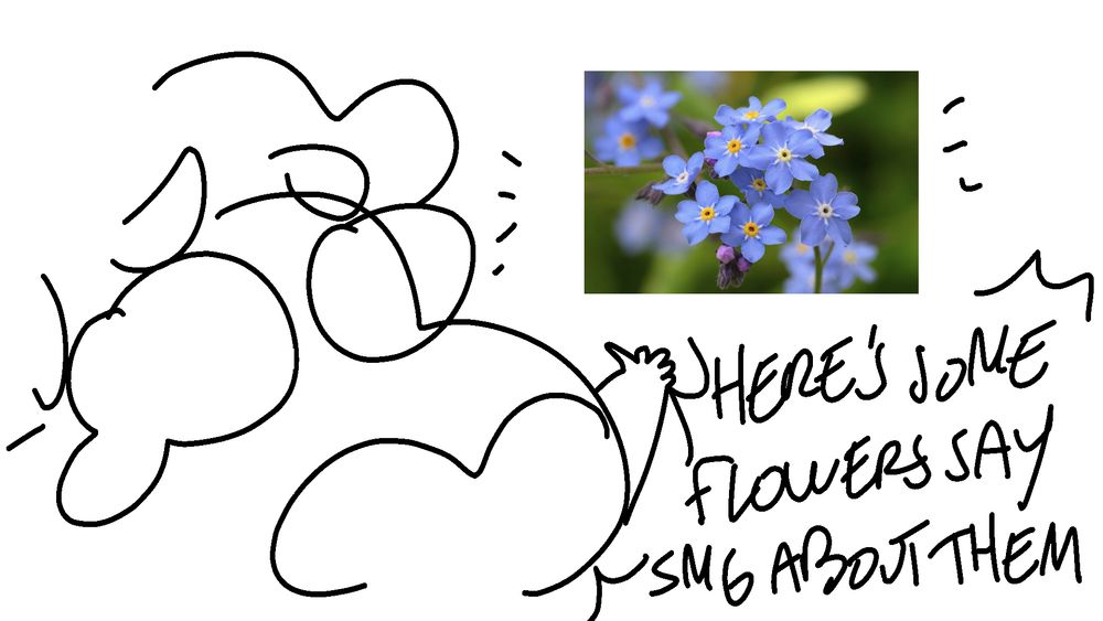 writer points at some flowers and screams "here's some flowers say something about them"