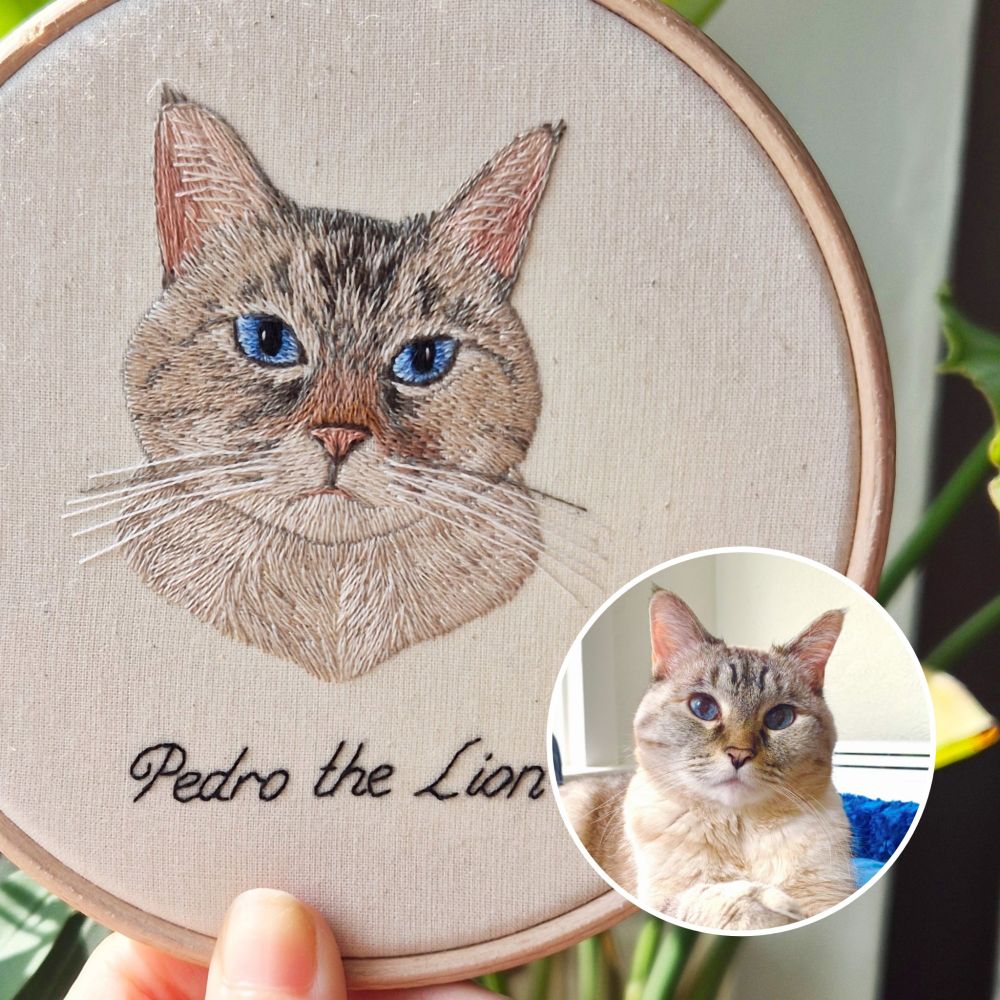 Embroidery of a sandy colour cat with blue eyes, next to the reference photo of the real cat. Text reads: Pedro the Lion