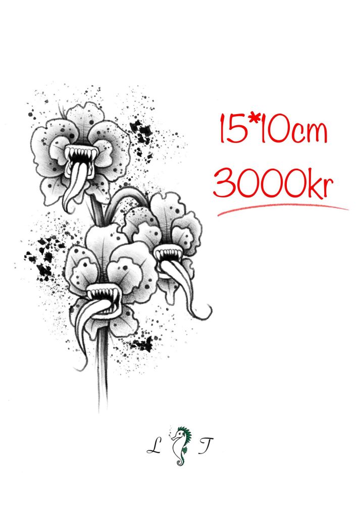 Monster-orkide uten farger 15*10cm 3000kr!