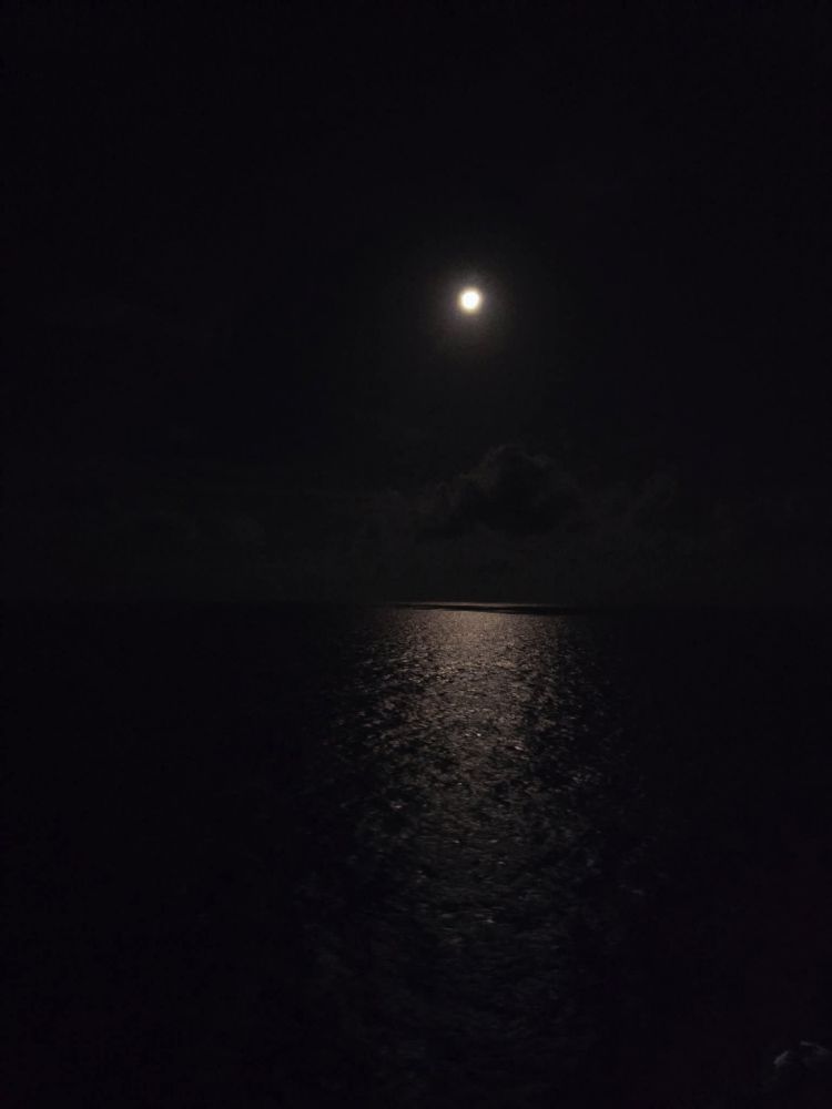 A clear, dark night over the ocean with a bright, almost full moon hanging in the sky and reflecting off the ocean water.