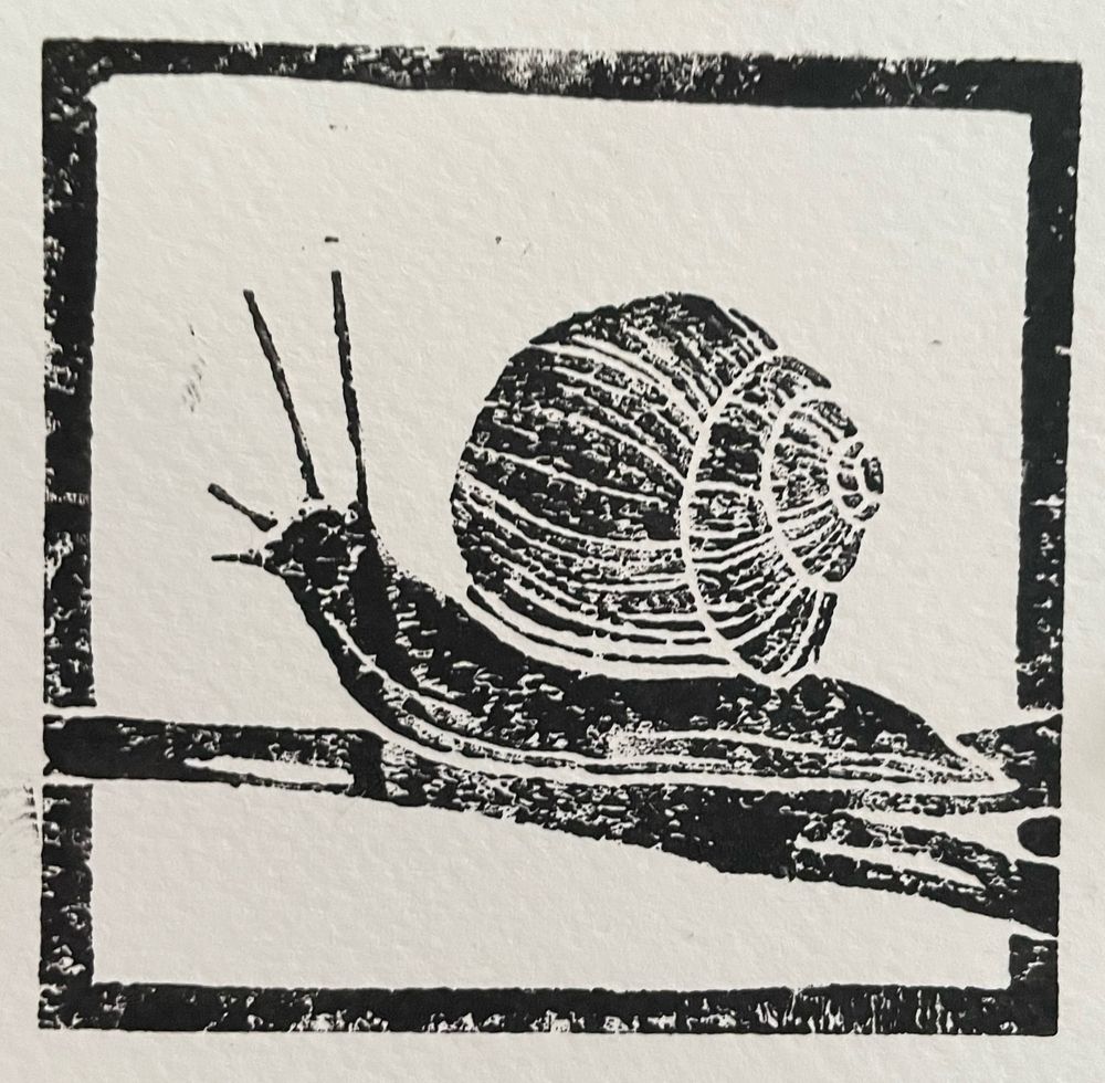 Linocut print of a snail sliming their way along a branch, with their head held high inquisitively. Printed in black ink with a border, which is a little faded in places.