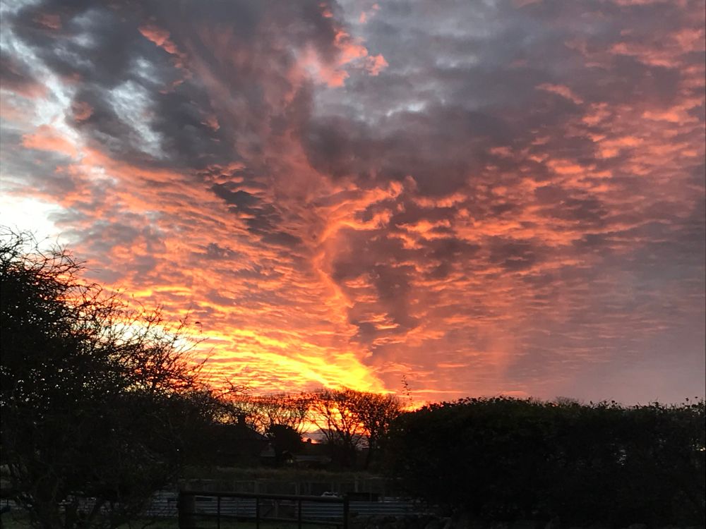 Photograph of a fiery sunset, taken on the Crooked Lonnen on Lindisfarne in November 2021. Bare branches of trees and bushes are silhouetted behind clouds lit by the sun.