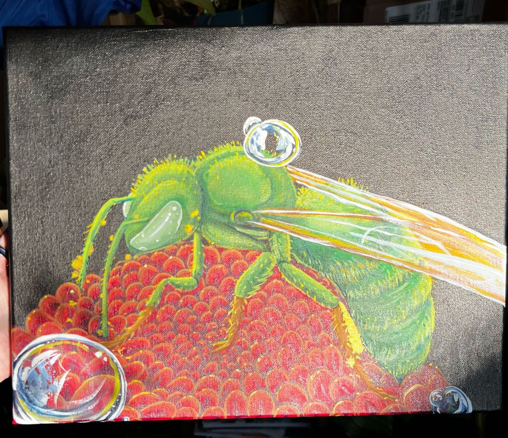 An 11x14 inch painting of a gold-green sweat bee on a red flower and a plain black background. Pollen particles dust the bee’s antenna and legs, and large dewdrops cling to the flower. A smaller dewdrop sits atop the bee’s back between the wings. 