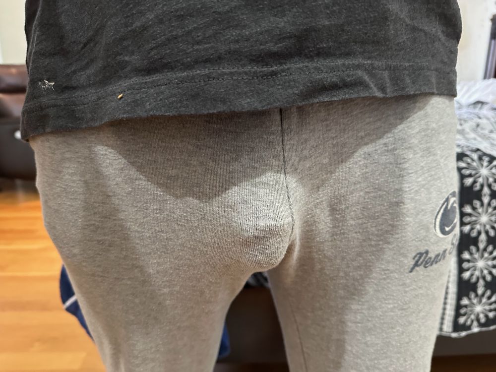 Close-up of visible penis line in gray sweatpants.