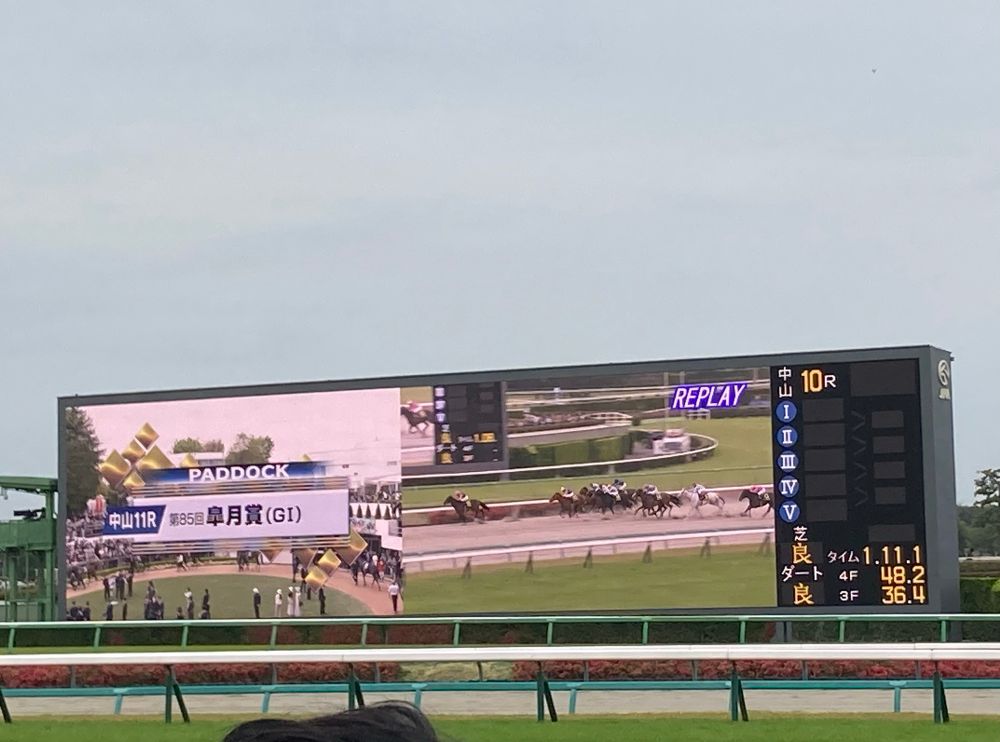 中山競馬場 ターフビジョン
