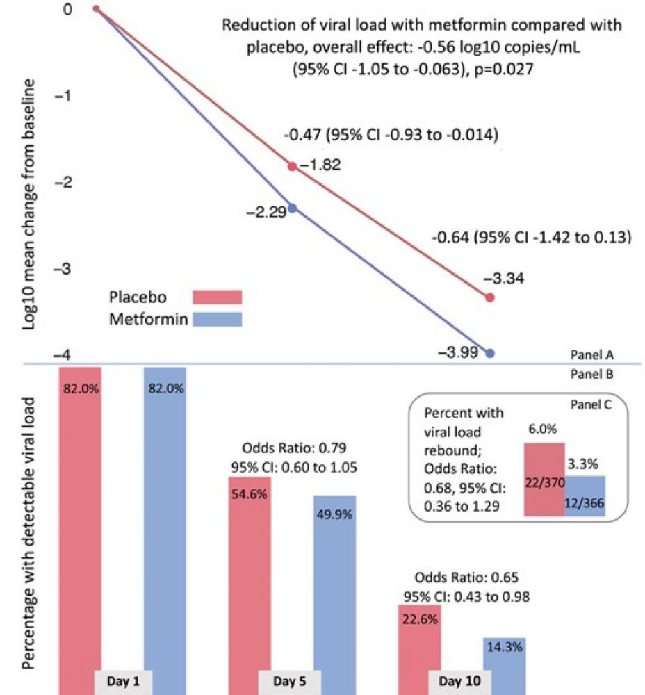 Favorable Antiviral Effect of Metformin on Severe Acute Respiratory Syndrome Coronavirus 2 Viral Load in a Randomized, Placebo-Controlled Clinical Trial of Coronavirus Disease 2019