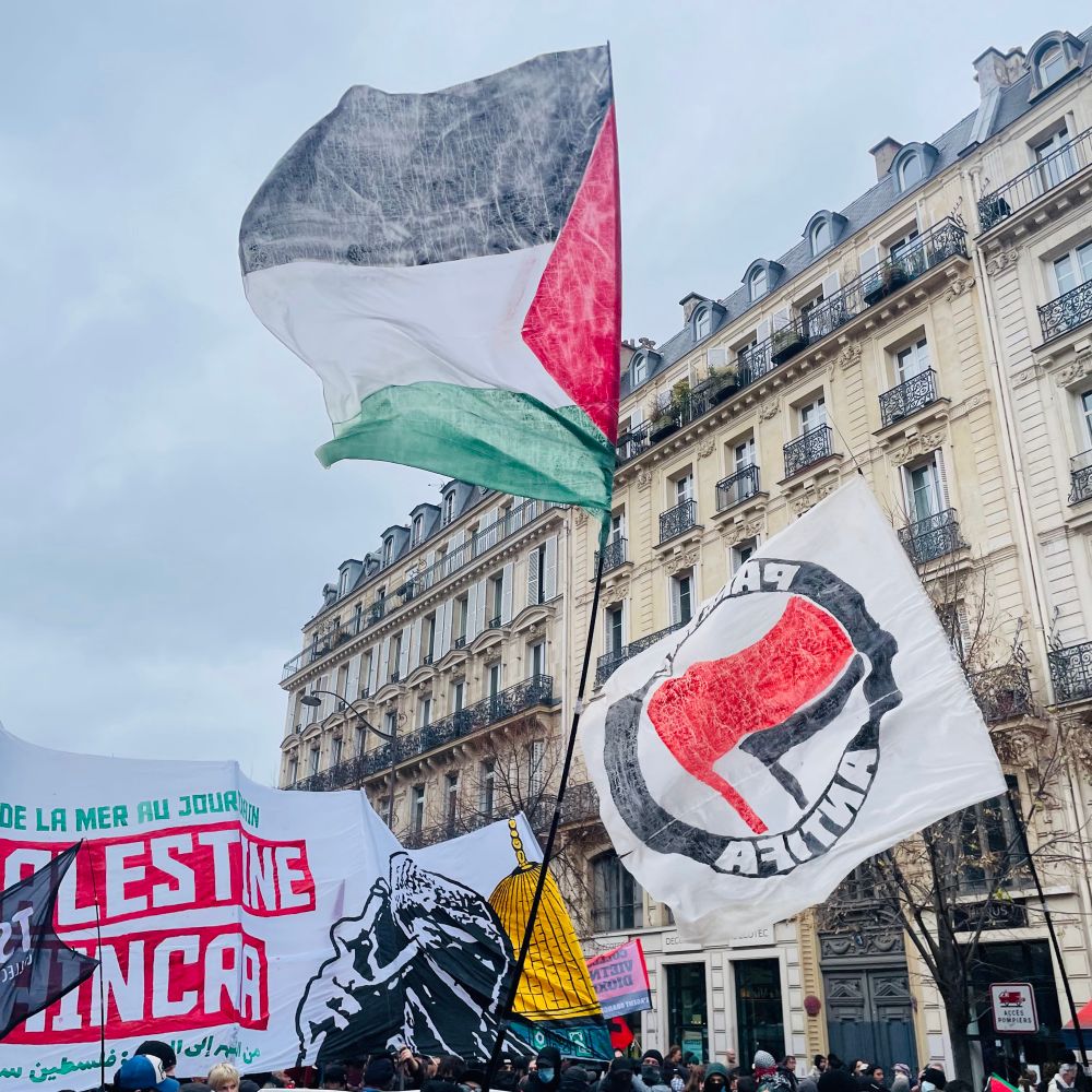 Très belle manif pour la Palestine.