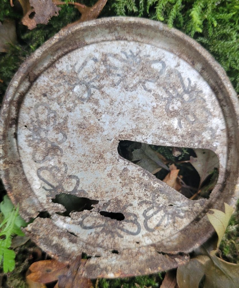 A rusty drink's can lid patterned round the edge in a circle with images of insects - possibly flies -  on a woodland floor...