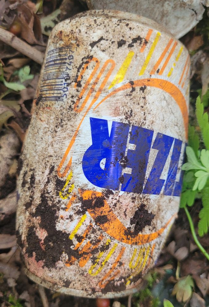 A faded can of Tizer from the early 1990s on a woodland floor.