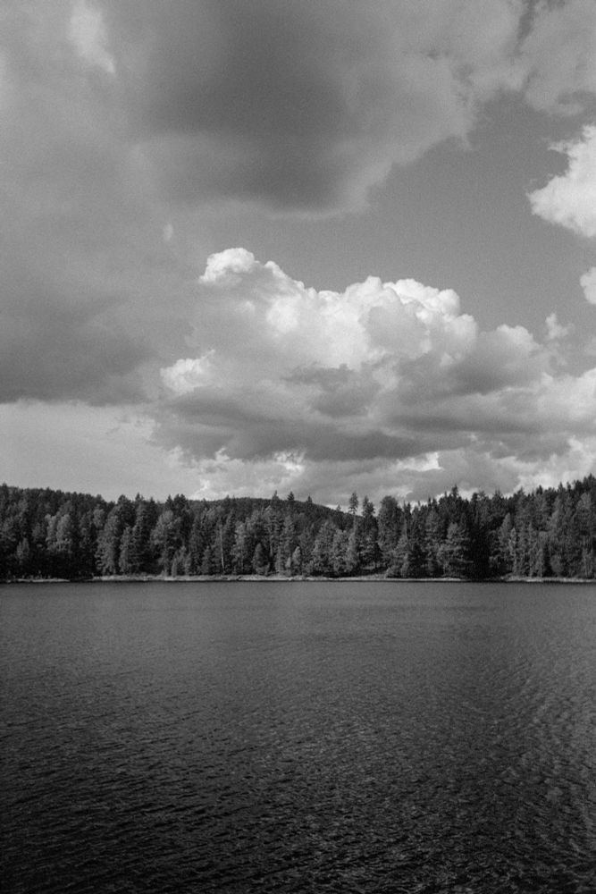 A lake with dense forest on the shore, dramatic clouds in the sky above.