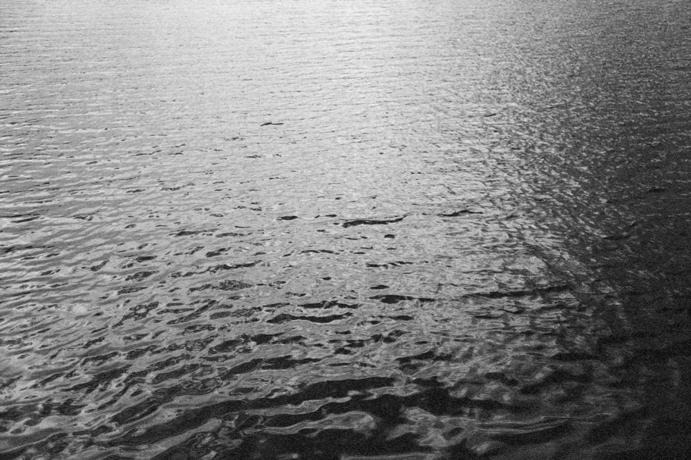 Rippled water on a lake.