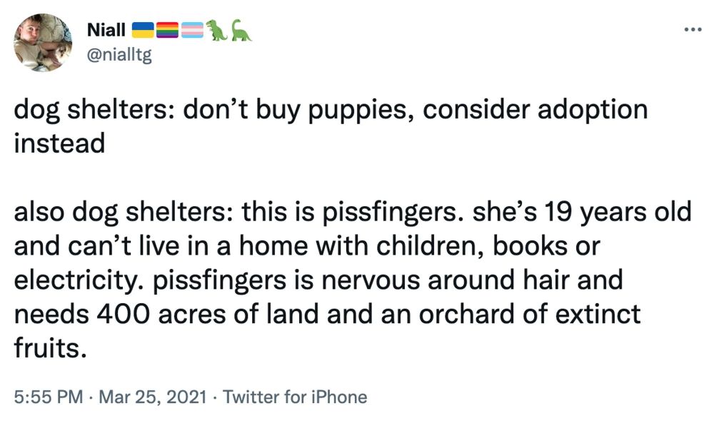 Screenshot from twitter by user @nialltg with the text:
Dog shelters: don't buy puppies, consider adoption instead
Also dog shelters: this is pissfingers. She's 19 years old and can't live in a home with children, books or electricity. Pissfingers is nervous around hair and needs 400 acres of land and an orchard of extinct fruits.