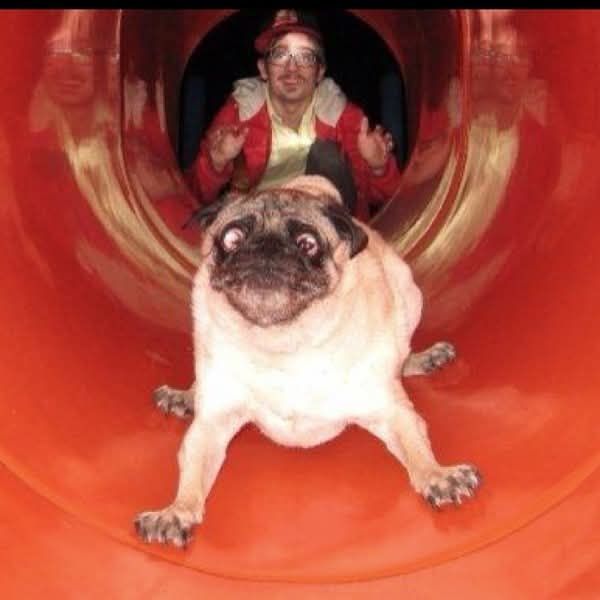 Pub in a tube slide with an expression of horror