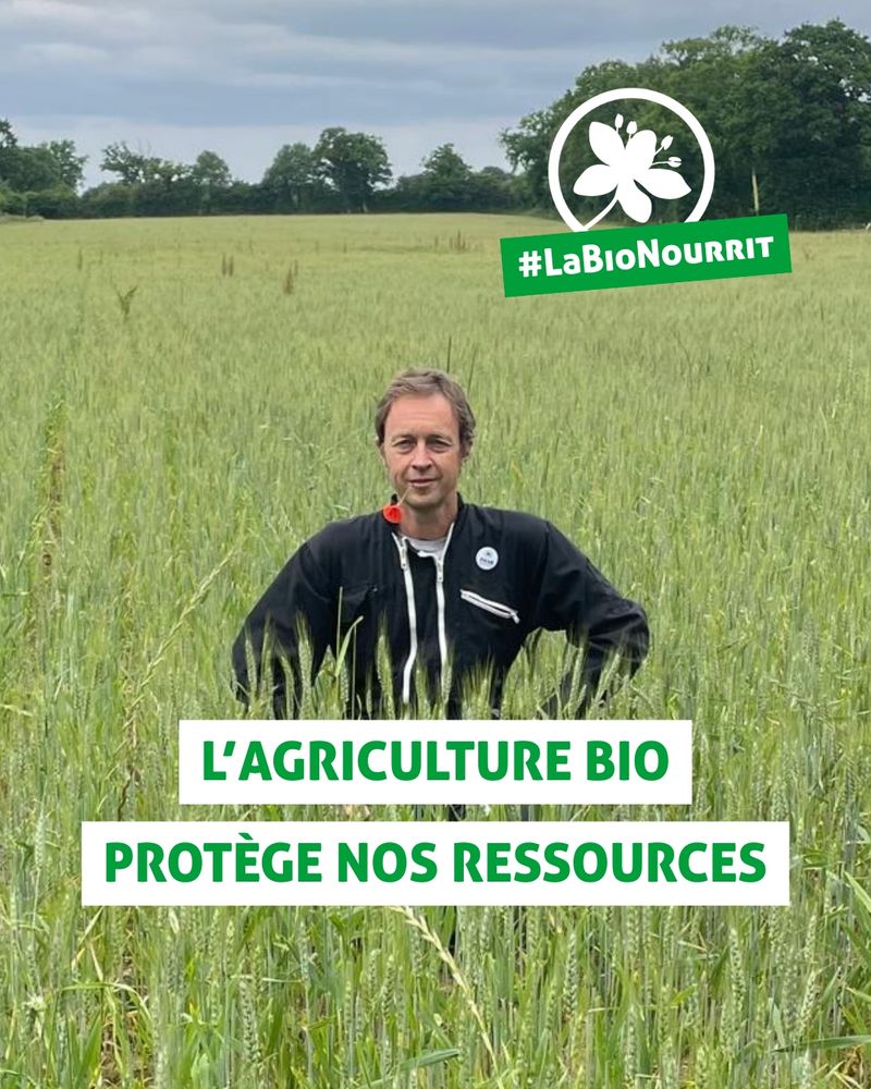 L'agriculture Bio Nourrit.