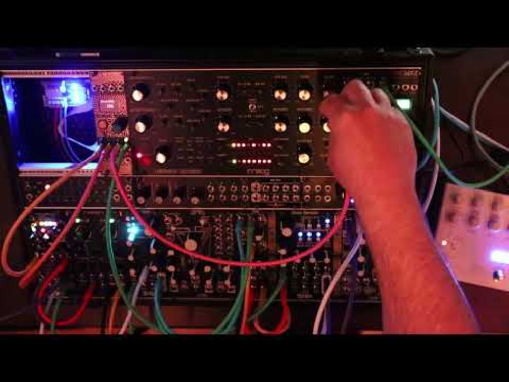 Melodic Modular Magic || Live Jam with Labyrinth, Rings, and Surface