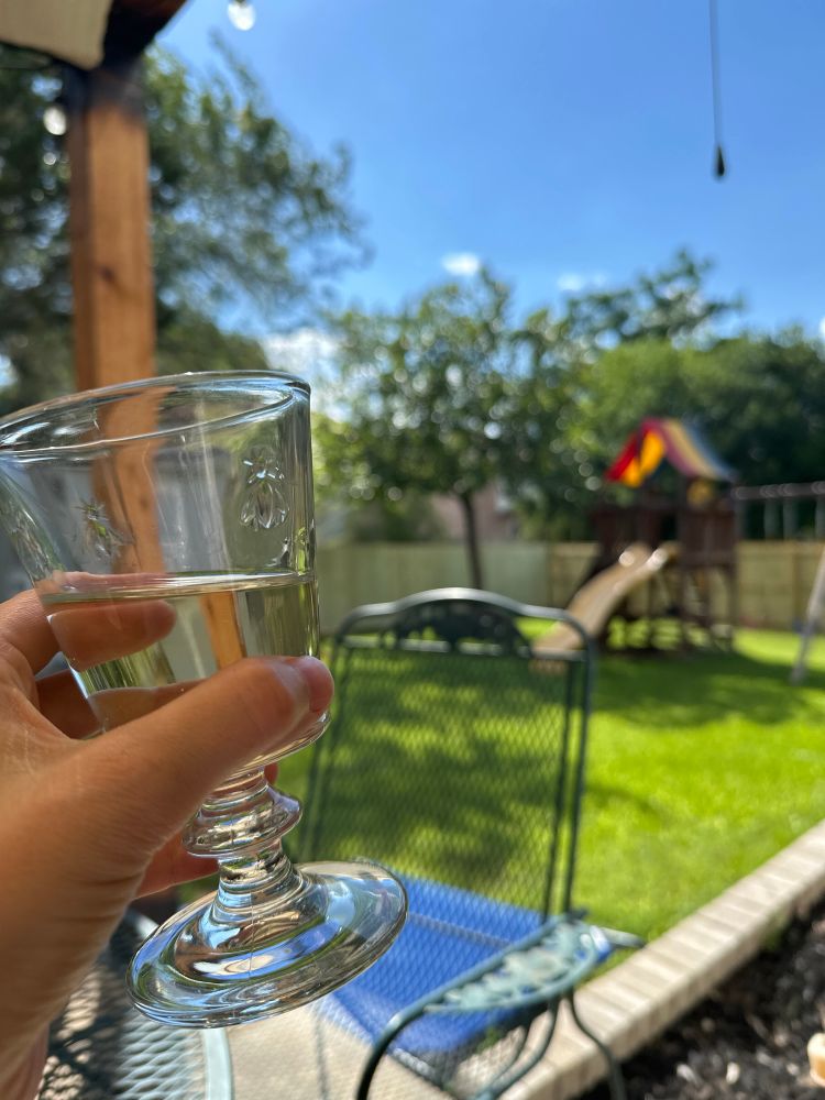 Hand holding glass of wine with background of a lovely blue sky and just fine backyard lol