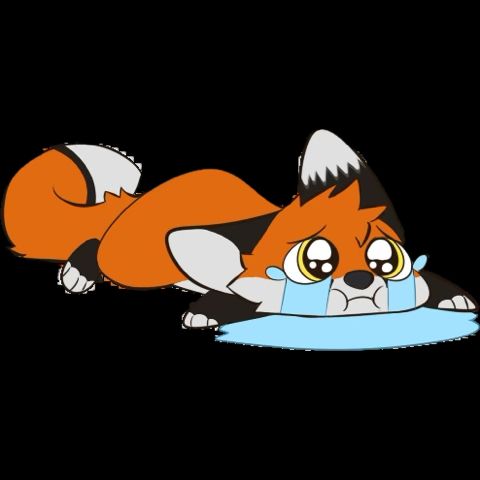 One sad Alec fox because he didn’t check bsky sooner.