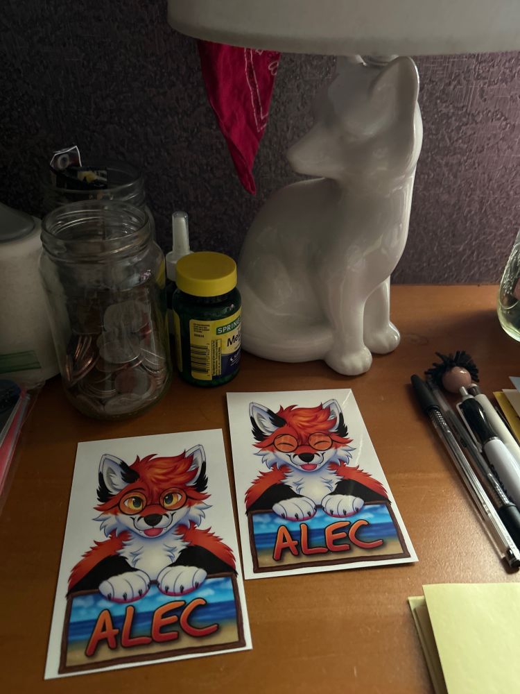 Fox lamp and a couple laminated things of art I got printed. They’re printed back to back so the opposite side has the other face.
