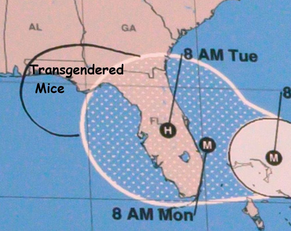 Hurricane Dorian map modified with sharpie by Trump, labeled "Transgendered Mice"