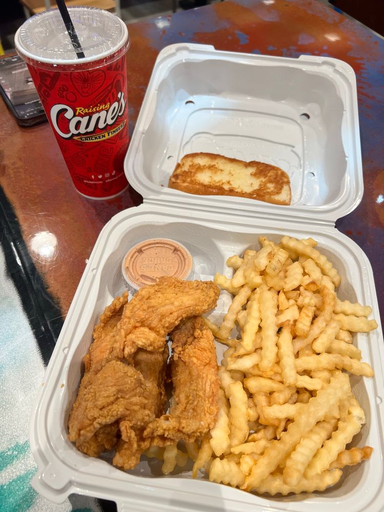 A picture of my recent Raising Cane’s order, which has nothing to do with the AJR concert I went to recently.