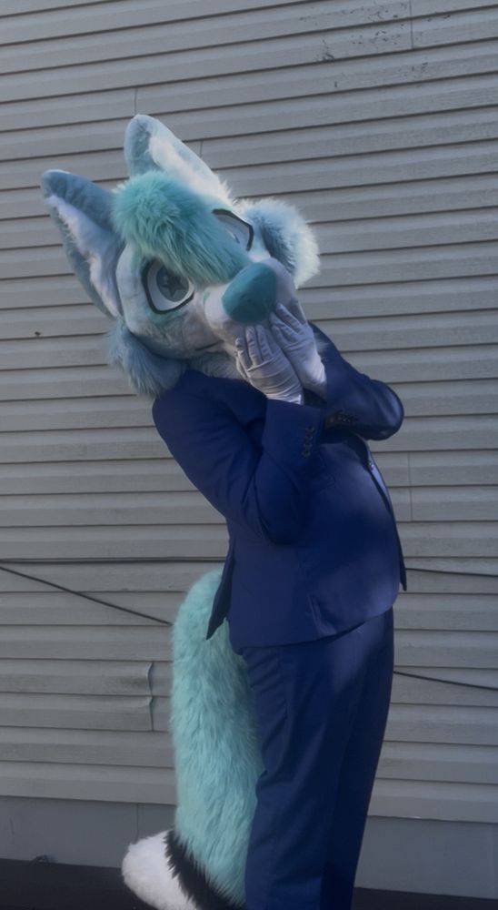 my light-blue samoyed fursuit "Beepo!"