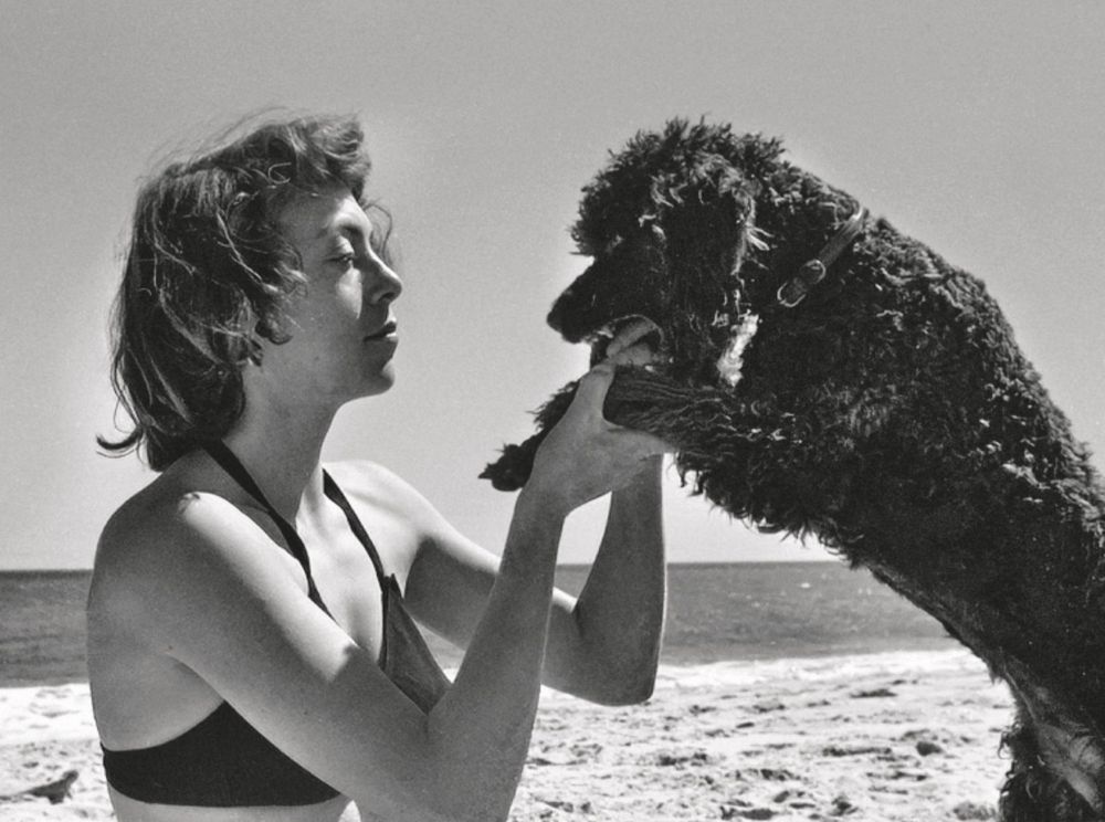 Artist Joan Mitchell with a poodle at the beach