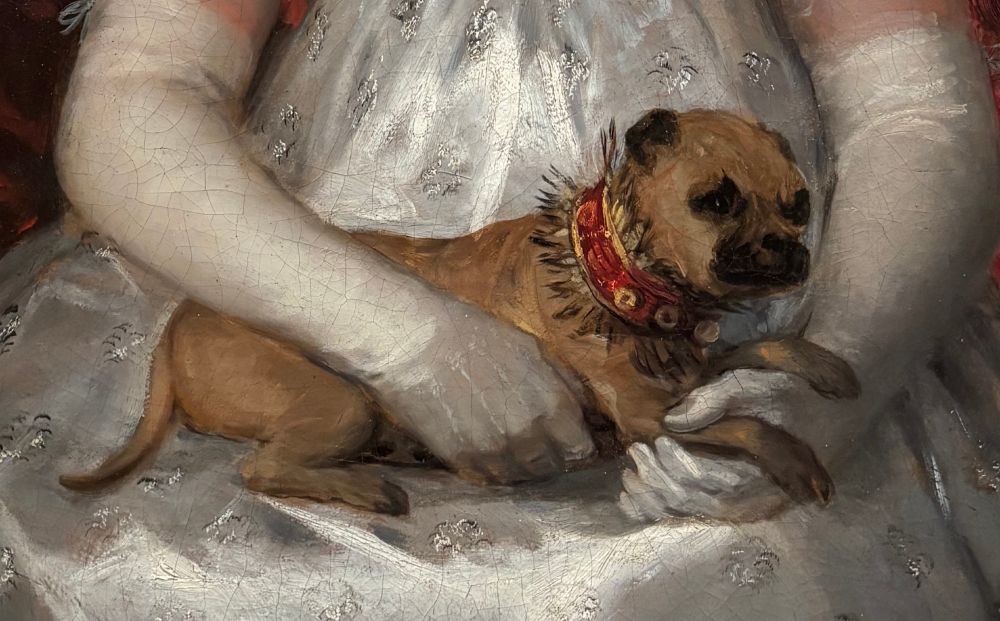 Detail of an adorable lap dog from a painted portrait