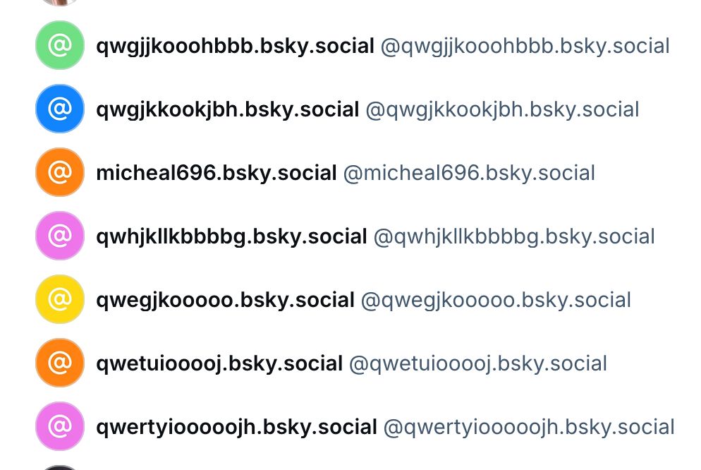 Screen shot of one account's bluesky followers, with the similar account names suggesting they're bots