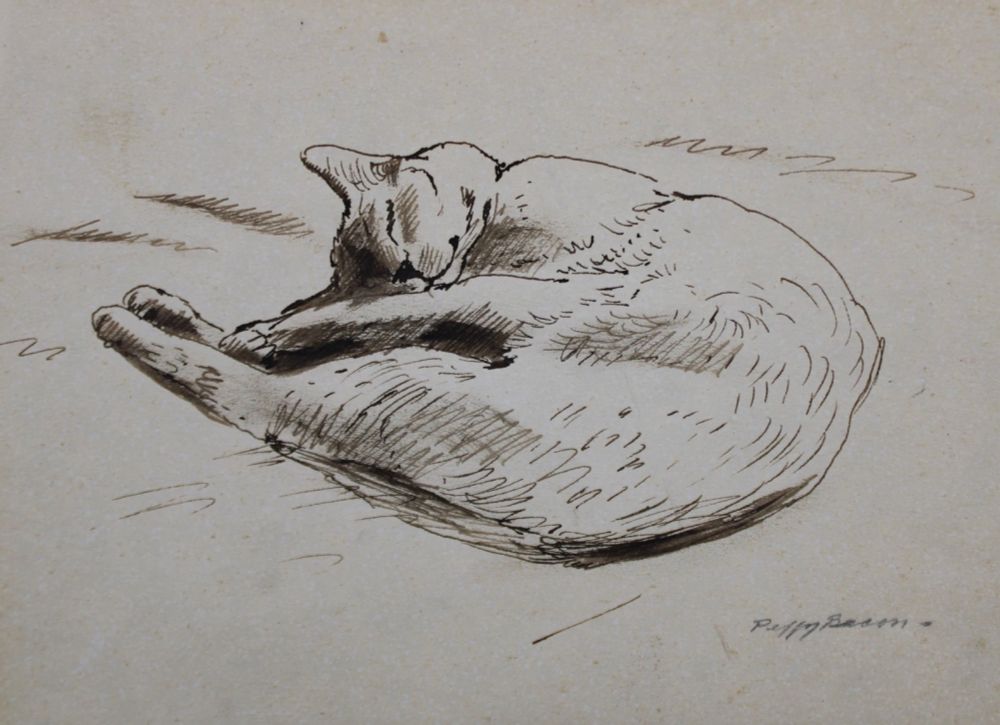 A cat curls up, sleeping peacefully