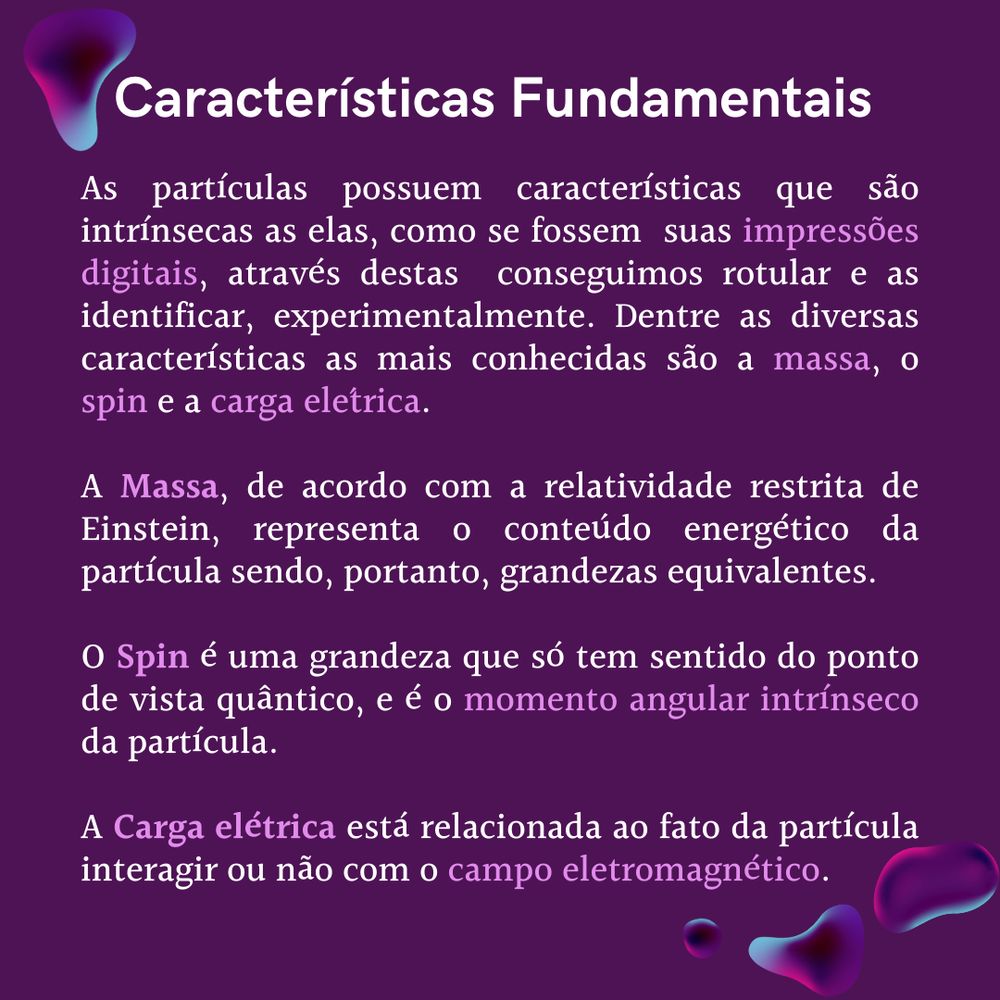 Características Fundamentais. As partículas possuem características que são intrínsecas a elas, como se fossem suas impressões digitais, através destas conseguimos rotular e as identificar, experimentalmente. Dentre as diversas características, as mais conhecidas são a massa, o spin e a carga elétrica.
A Massa, de acordo com a relatividade restrita de Einstein, representa o conteúdo energético da partícula sendo, portanto, grandezas equivalentes.
O Spin é uma grandeza que só tem sentido do ponto de vista quântico, e é o momento angular intrínseco da partícula.
A Carga elétrica está relacionada ao fato da partícula interagir ou não com o campo eletromagnético.