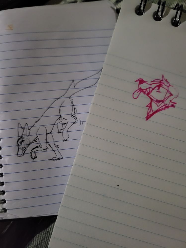 Two pen sketches of cartoon wolves. One is a full-body in black ink and the other is a small bust in pink ink. They both seem playful with their sharp toothy smiles.