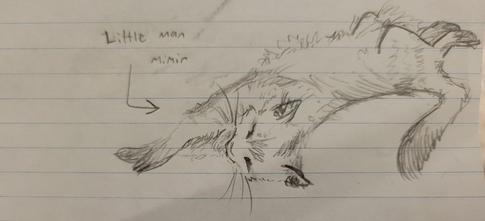 A drawing of a cat laying down captioned "Little Man Mimir"
