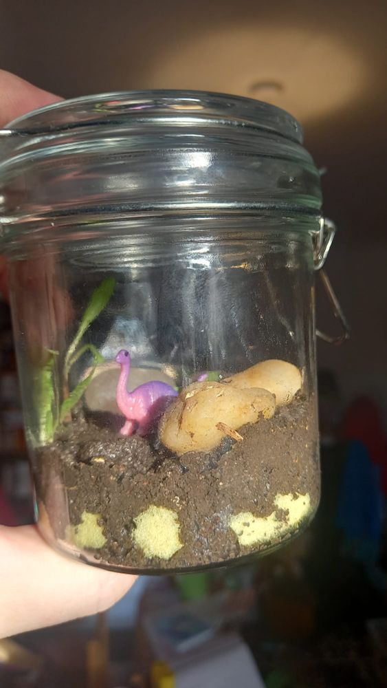 An early terrarium. Few plants, moist soil. A small brachiosaurus surveys their new territory.